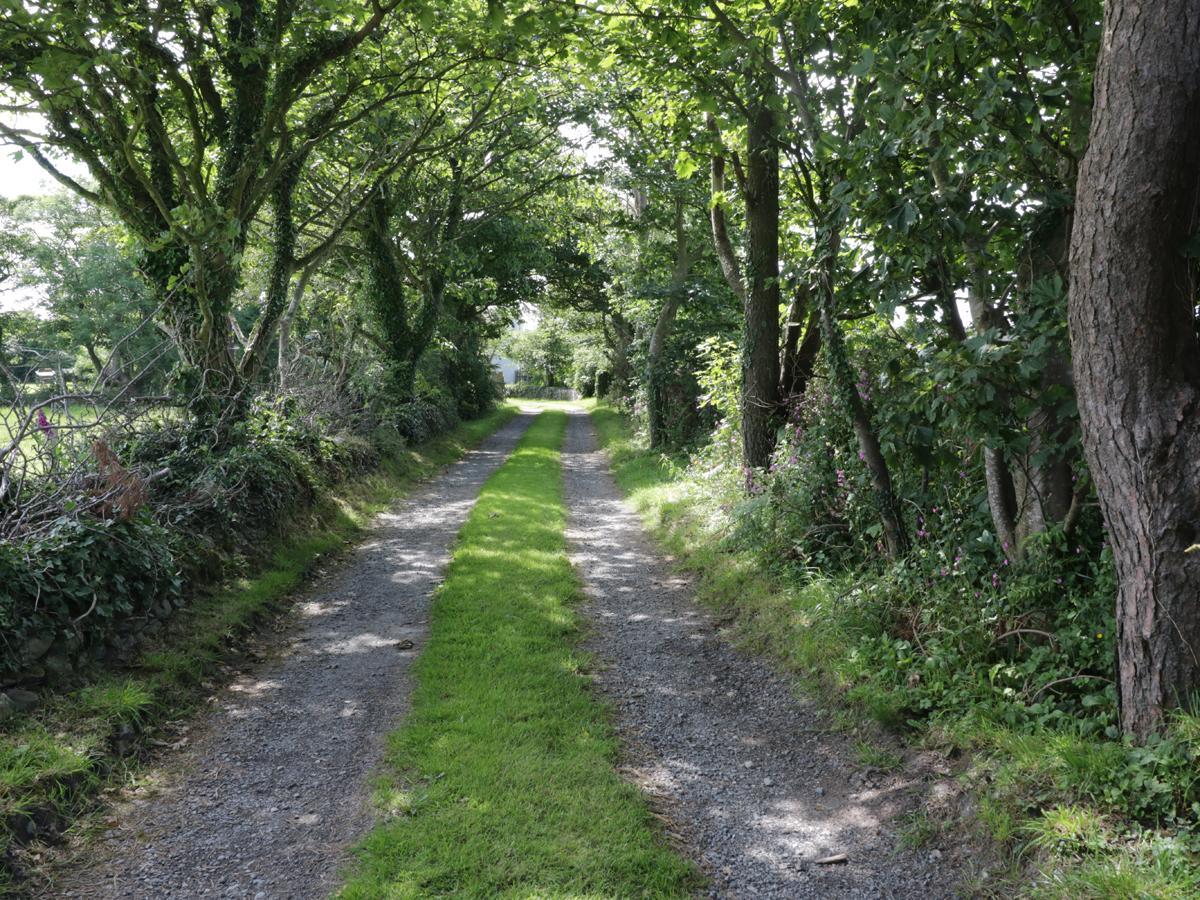 Bodegri Cottage Llanfflewyn Kültér fotó